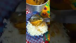 #shorts arroz  feijão  peixe ao molho #comida