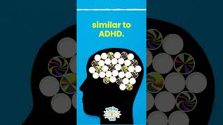 What is ADHD? | Brains on