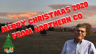 Christmas 2020 in Northern Colorado