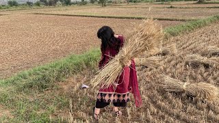 My Village Vlog | Punjab Pakistan