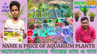 AQUARIUM PLANTS' NAME WITH PRICE | LATEST PLANTS PRICE UPDATE | GALIFF STREET | PRICE FOR 11FEB2024