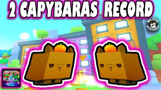 Trying to GET 2 CAPYBARA Exclusive Pets in RECORD TIME / PET SIMULATOR 99 / Can you beat it /Roblox