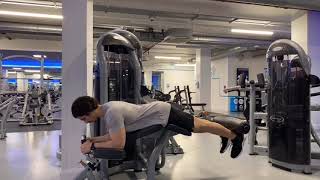 Lying Hamstring Curl