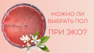 ♀️​♂️​ Можно ли выбрать пол ребенка при ЭКО?