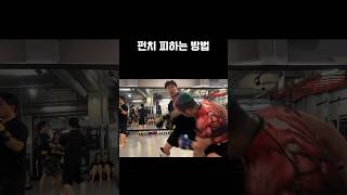 펀치 피하는 방법 #shorts