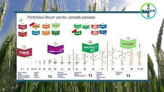 Bayer Agro Arena - Insuratei 2018 - reportaj