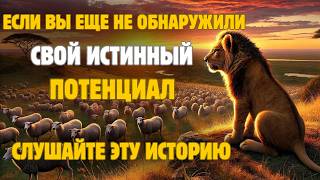 Лев, который научил находить свое истинное я | История для размышлений