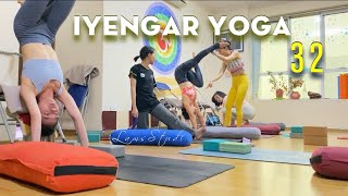 🤸🏻‍♀️Iyengar Yoga with Props 32 🤸🏻‍♀️Handstand Tutorial 🍀Chair Yoga 🍀 LamsStudio