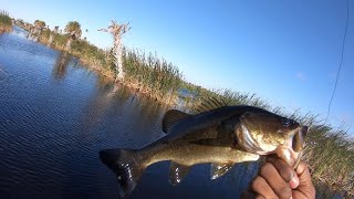 Public Land Bass Fishing