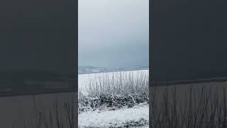 #shorts Snowfalls uk #snowfall  #viral #trending