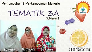 PERTUMBUHAN & PERKEMBANGAN MANUSIA (Tematik 3A Subtema 2) | Video Pembelajaran Tematik Kelas III