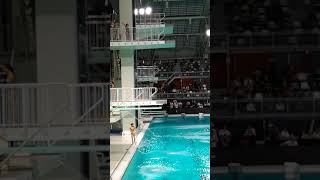 Akexandar Vitanov Eindhoven diving cup