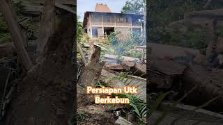 Berkebun Di Pekarangan Rumah #pekarangan #kebun #berkebunsehat #kebunbuah #alpukat #kelengkeng