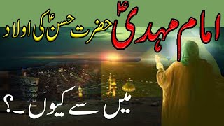 Imam Mahdi A.S Hazrat Hassan KI Oulad Me Se Kiu ||امام مہدی ؑ حضرت حسن ؑ کی اولاد میں سے کیوں ۔؟