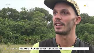 Wayabo kourou bts gestion et protection nature pierre braeuner louitive montina véronique alary