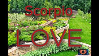 Scorpio LOVE - Don't hold back from doing something new...