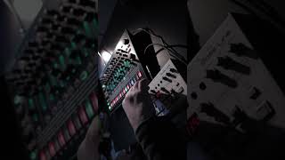 Roland techno #darksynth #synthesizer #acidtechno #techno #rolandboutique #tb303 #303 #drummachines