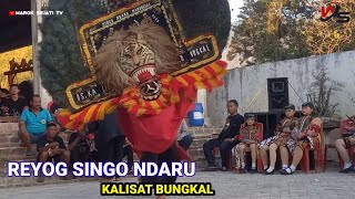 KEREN LUR AKSI DUA PEMBARONG GANTENG ❗️REYOG SINGO NDARU,KALISAT BUNGKAL