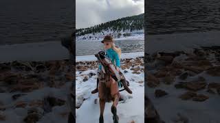 Rachel visiting Mary Lake in Estes Park Colorado #horseshorts #breyerhorses #horse