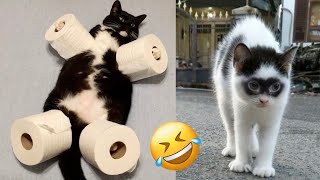 Laugh Out Loud with These Epic Pet Bloopers 🐾😂