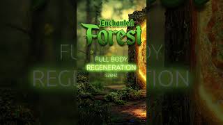 Enchanted Forest Healing #meditationmusic #528hz #solfeggio