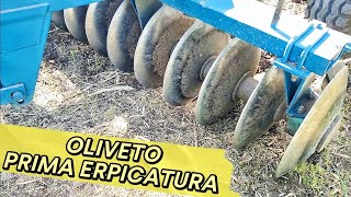 OLIVETO | PREPARAZIONE TERRENO | ERPICE A DISCHI