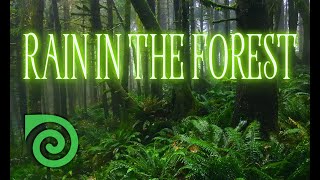 RAIN IN THE FOREST - ONE HOUR OF RAIN AND SOUNDS OF NATURE, WITHOUT MUSIC, FOR DEEP RELAXATION.