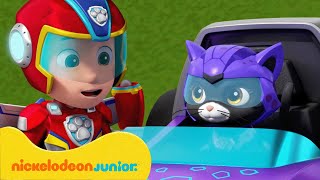 PAW Patrol : La Pat' Patrouille | Les Super Chats et la Mini Patrouille ! | Nickelodeon Jr. France