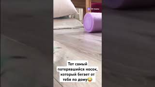 Весёлый попугай😂 #shorts #shortsvideo #birds #memes #юмор #funny #попугай