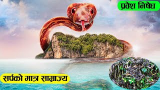 मानव प्रवेश निषेध गरिएको सर्पको साम्राज्यको भयानक  कहानी |  Real story of Snake island. Networds