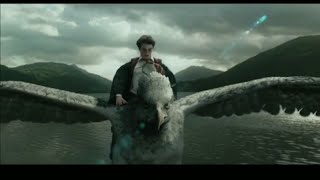 Hagrid class with animal Harry Potter riding scene Ft.wakhra swag ||amazing movie clips