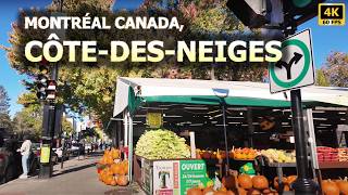 Walking Tour Montreal's multicultural Chemin de la Côte-des-Neiges/Balade Chemin Côte-des-Neiges