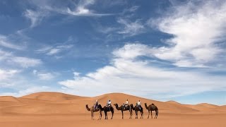 Sahara Desert Camel Ride