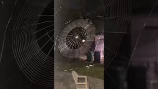 I caught a spider on camera creating it's shelter😱😱🥰#shorts #viral