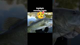 Mancing ikan super besar | highlights