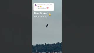 @Blue_Barron_843 commented!!!! #coment #blueangels #f18 #navy #airforce #boeing #military