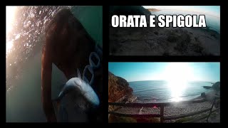 12)Pescasub-orata e spigola 19 12 19 nel torbido e nelle correnti