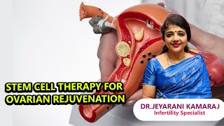 Stem Cell Therapy for Ovarian Rejuvenation | dr.jeyarani kamaraj