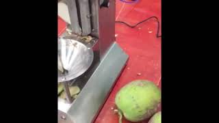 Coconut peeling machine