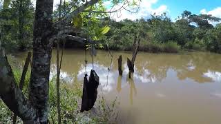 Finca I Lagos  y peces