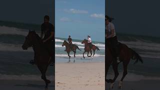 Beach horse riding Dubai #equestrian #horserid #horseriders #horselover #horseriding