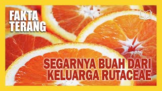 EKSPLORASI KELEZATAN BUAH BERAIR DARI KELUARGA RUTACEAE