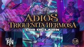 Los De La RN - Adiós Trigueñita Hermosa (En Vivo Desde Cortinez 2022)