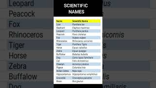 SCIENTIFIC NAME OF ANIMALS