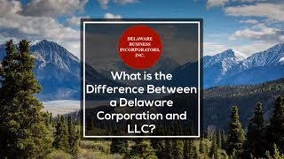 What is the Difference Between a Delaware Corporation and LLC | Delaware Business Incorporators Inc.