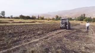 MASSEY FERGUSON 265S TARLA SÜRÜM-ÇİFT SÜRÜMÜ