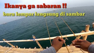 Lagi seting tiba tiba joran di sambar ikan