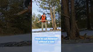 How To Cut Firewood Without A Saw #survival #camping #wintercamping