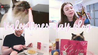 ~Valentines Day Vlog~ Cooking,  Pets at Home Haul, Jack valentines visited,