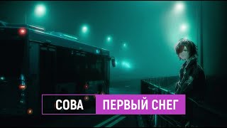 сова — первый снег